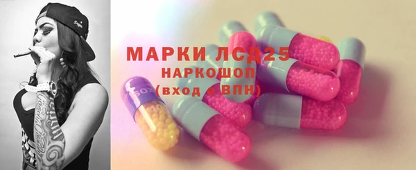 прущие грибы Балабаново
