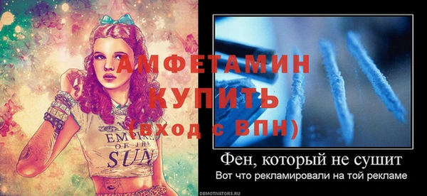 прущие грибы Балабаново