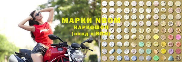 прущие грибы Балабаново