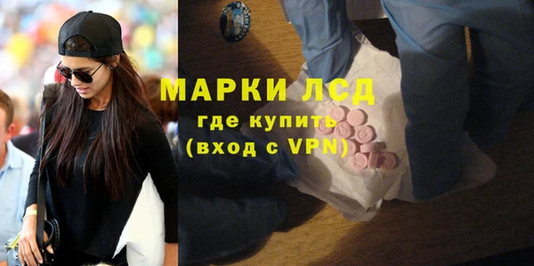 прущие грибы Балабаново